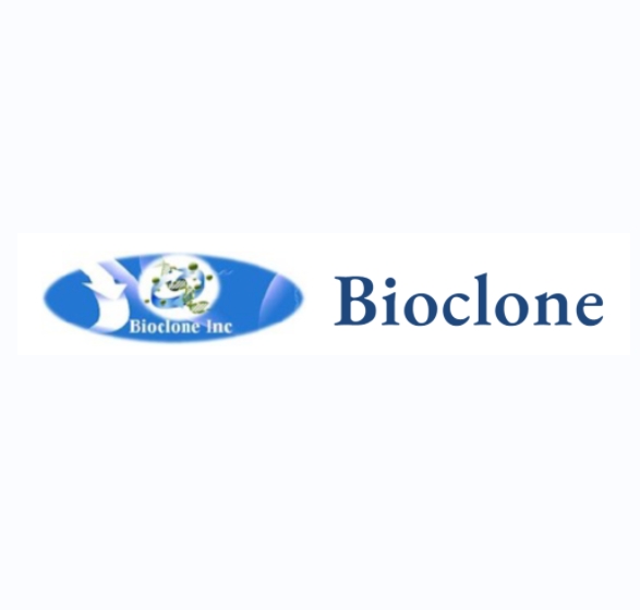 Bioclone DEAE磁珠
