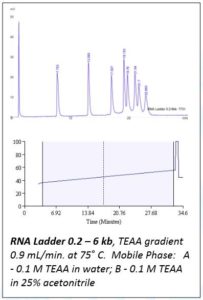 RNA-Ladder-2-203x300.jpg